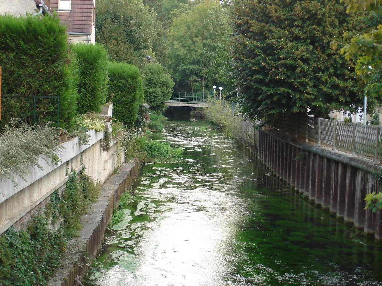 DSC01107.jpg