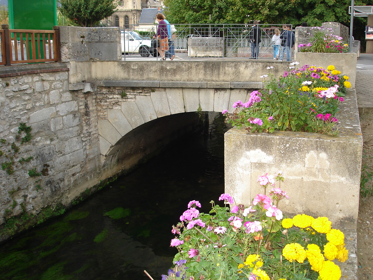 DSC01116.jpg