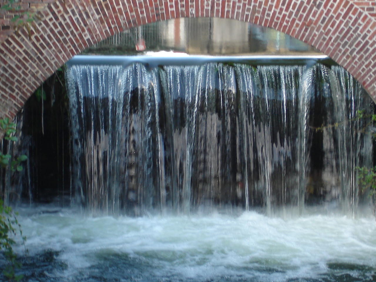 DSC01120.jpg