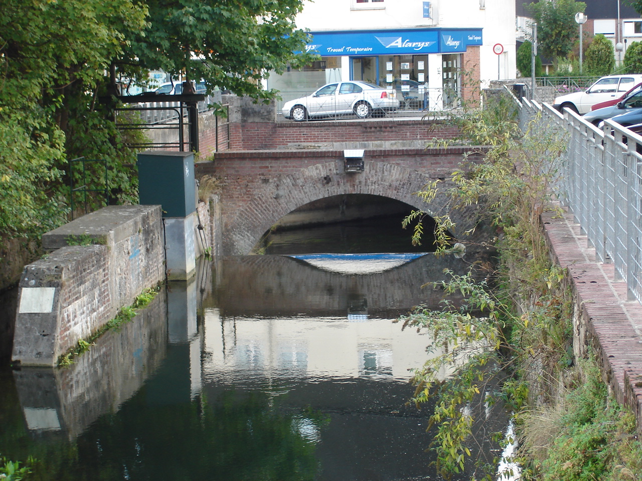 DSC01124.jpg